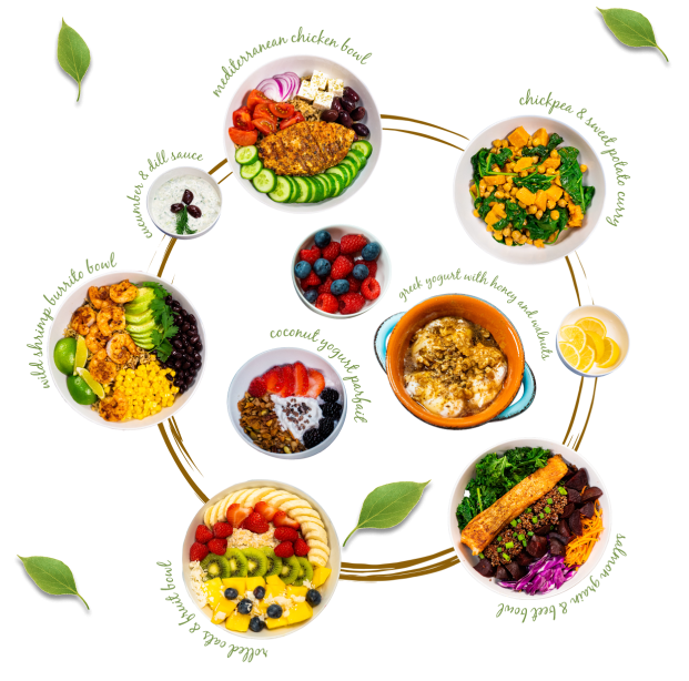 Nutritopia Meals